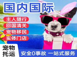 拉萨贡嘎机场托运国际宠物托运 【国